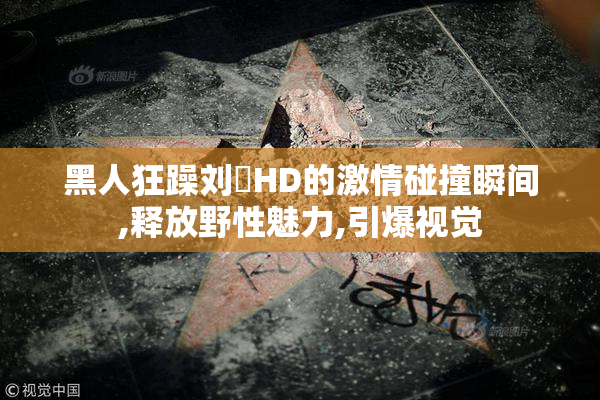 黑人狂躁刘玥HD的激情碰撞瞬间,释放野性魅力,引爆视觉