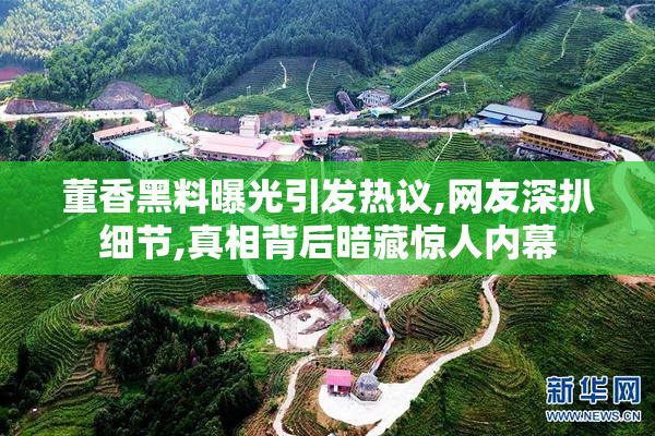 董香黑料曝光引发热议,网友深扒细节,真相背后暗藏惊人内幕