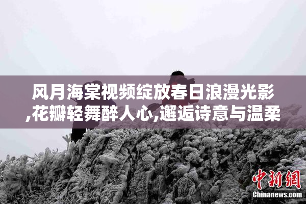 风月海棠视频绽放春日浪漫光影,花瓣轻舞醉人心,邂逅诗意与温柔的