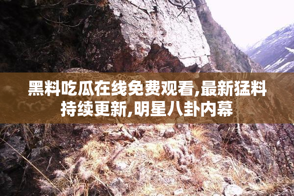 黑料吃瓜在线免费观看,最新猛料持续更新,明星八卦内幕