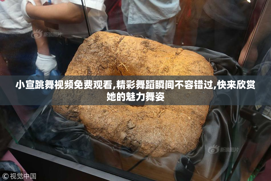 小宣跳舞视频免费观看,精彩舞蹈瞬间不容错过,快来欣赏她的魅力舞姿