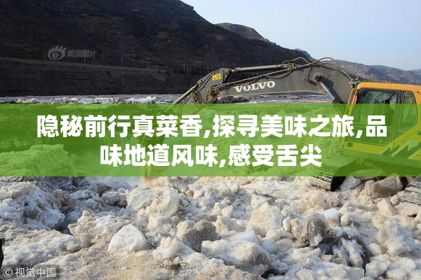 隐秘前行真菜香,探寻美味之旅,品味地道风味,感受舌尖