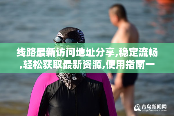 线路最新访问地址分享,稳定流畅,轻松获取最新资源,使用指南一