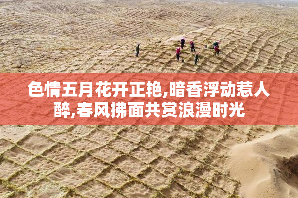 色情五月花开正艳,暗香浮动惹人醉,春风拂面共赏浪漫时光