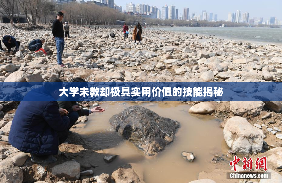 大学未教却极具实用价值的技能揭秘