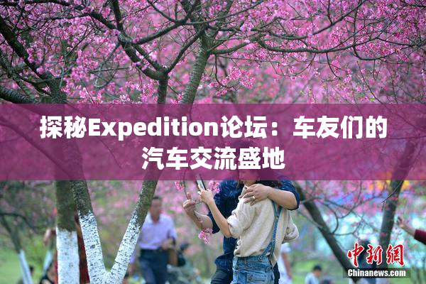 探秘Expedition论坛：车友们的汽车交流盛地