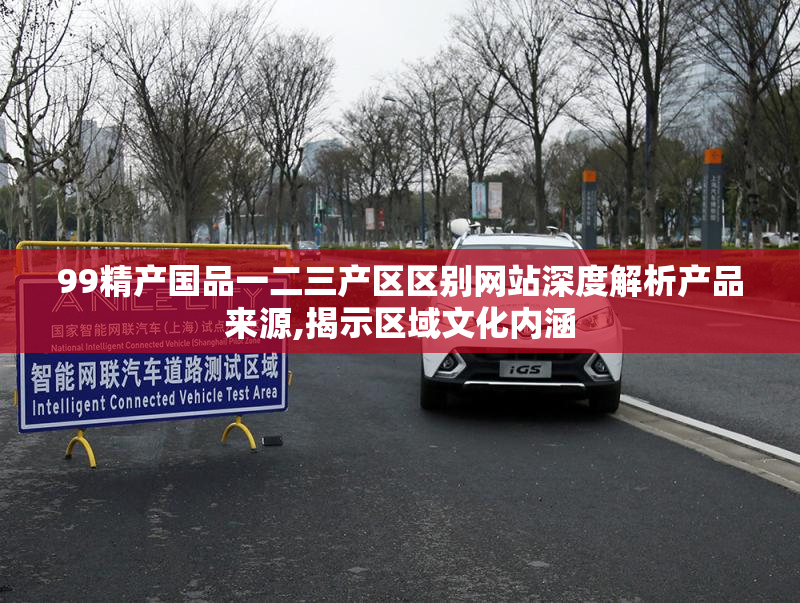 99精产国品一二三产区区别网站深度解析产品来源,揭示区域文化内涵