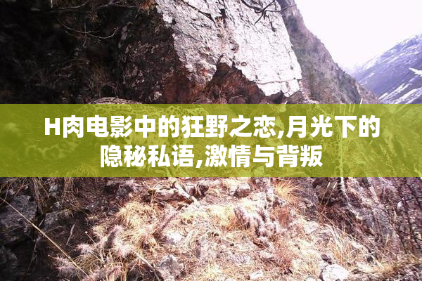 H肉电影中的狂野之恋,月光下的隐秘私语,激情与背叛