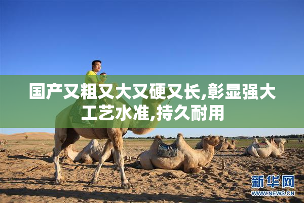 国产又粗又大又硬又长,彰显强大工艺水准,持久耐用