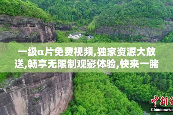 一级α片免费视频,独家资源大放送,畅享无限制观影体验,快来一睹为
