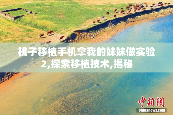 桃子移植手机拿我的妹妹做实验2,探索移植技术,揭秘