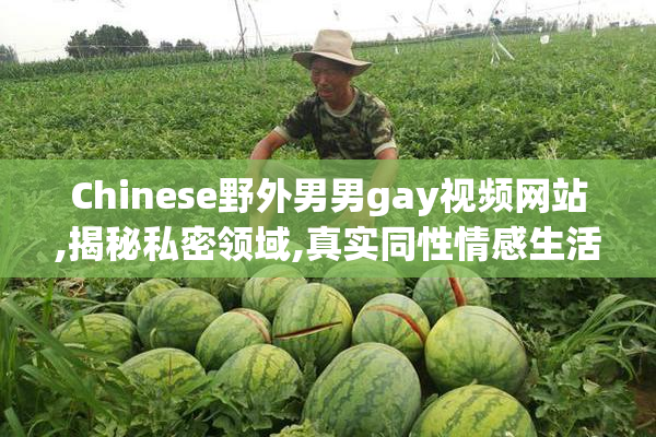 Chinese野外男男gay视频网站,揭秘私密领域,真实同性情感生活大