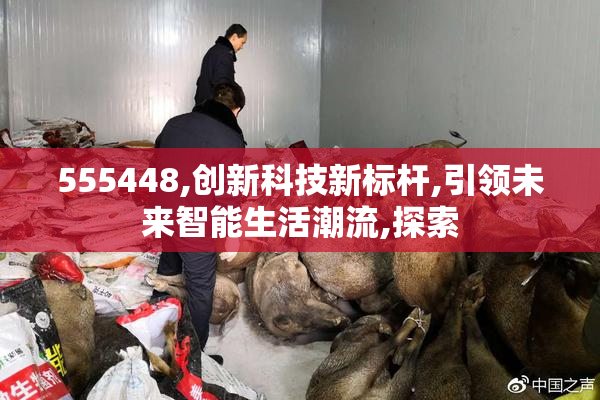 555448,创新科技新标杆,引领未来智能生活潮流,探索