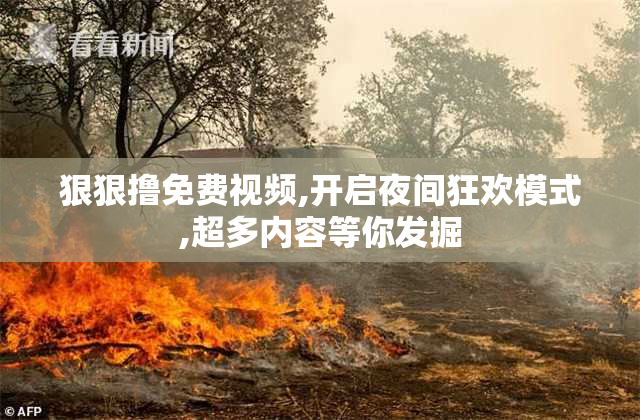 狠狠撸免费视频,开启夜间狂欢模式,超多内容等你发掘