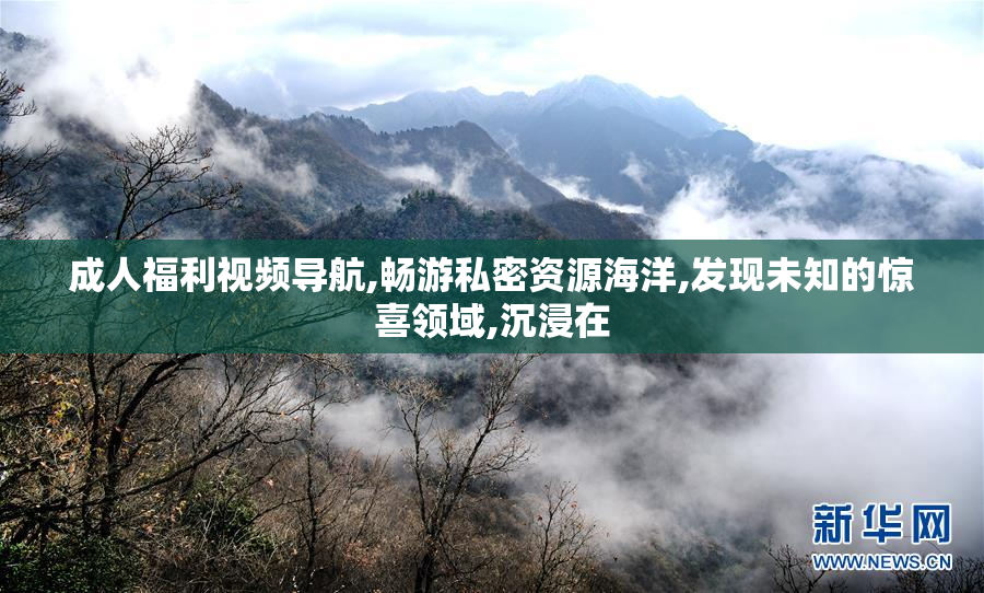 成人福利视频导航,畅游私密资源海洋,发现未知的惊喜领域,沉浸在