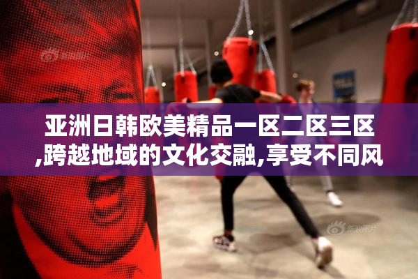 亚洲日韩欧美精品一区二区三区,跨越地域的文化交融,享受不同风情
