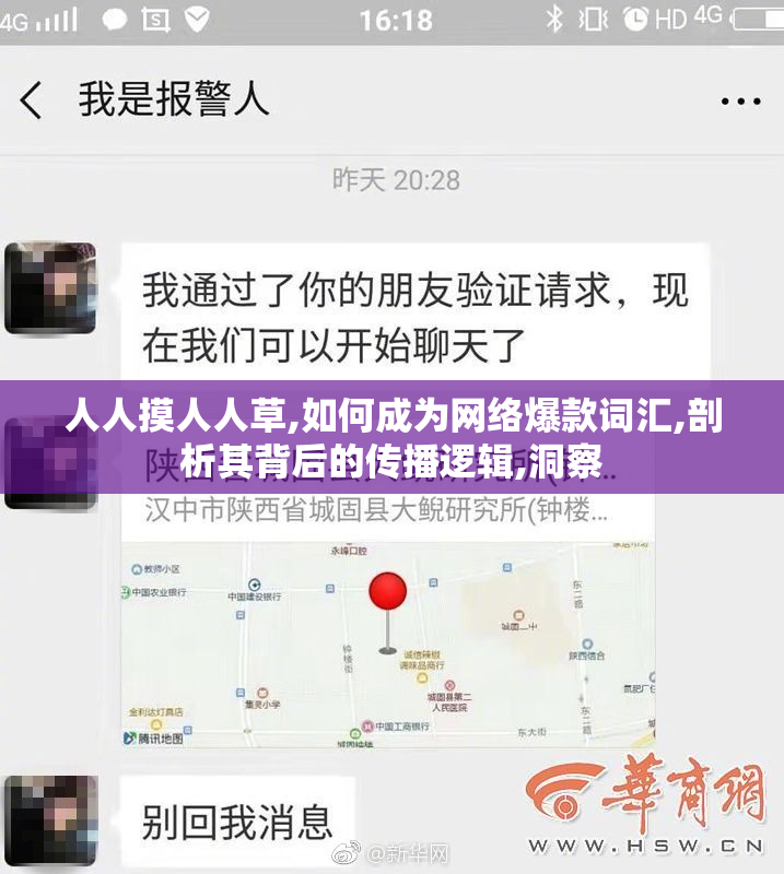 人人摸人人草,如何成为网络爆款词汇,剖析其背后的传播逻辑,洞察