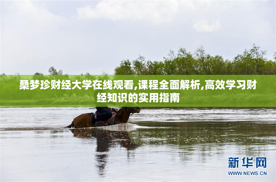 桑梦珍财经大学在线观看,课程全面解析,高效学习财经知识的实用指南