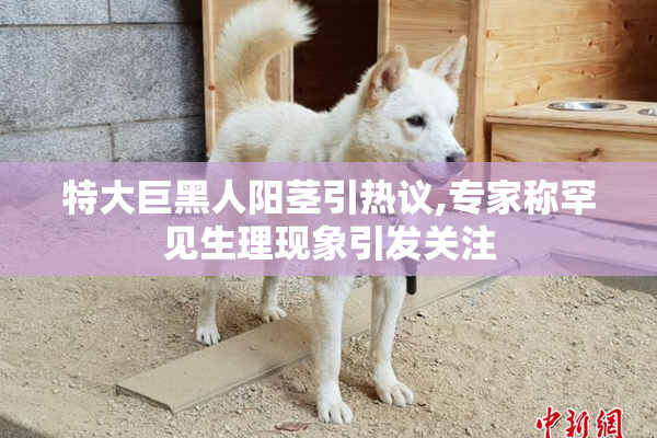 特大巨黑人阳茎引热议,专家称罕见生理现象引发关注