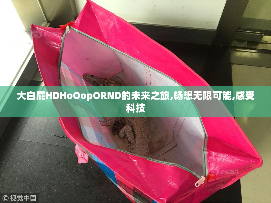大白屁HDHoOopORND的未来之旅,畅想无限可能,感受科技