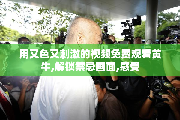 用又色又刺激的视频免费观看黄牛,解锁禁忌画面,感受