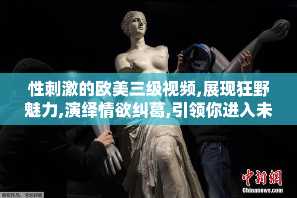 性刺激的欧美三级视频,展现狂野魅力,演绎情欲纠葛,引领你进入未知
