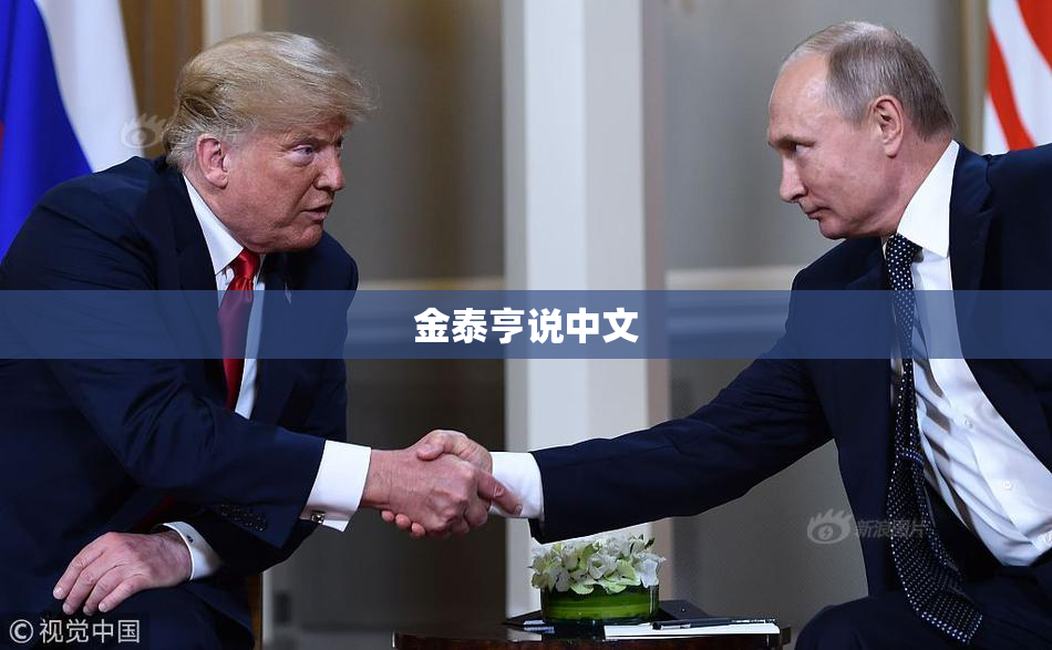金泰亨说中文