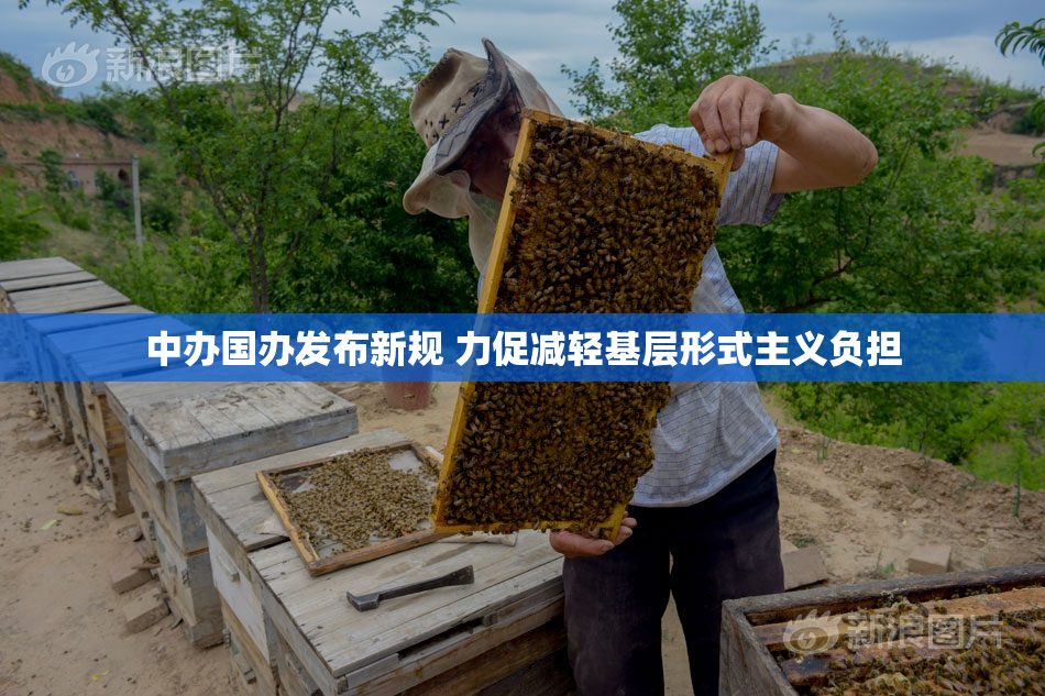 中办国办发布新规 力促减轻基层形式主义负担