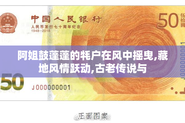 阿姐鼓蓬蓬的牦户在风中摇曳,藏地风情跃动,古老传说与