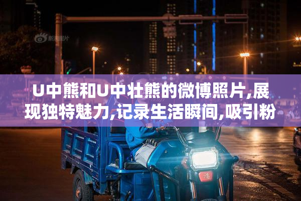 U中熊和U中壮熊的微博照片,展现独特魅力,记录生活瞬间,吸引粉丝目光