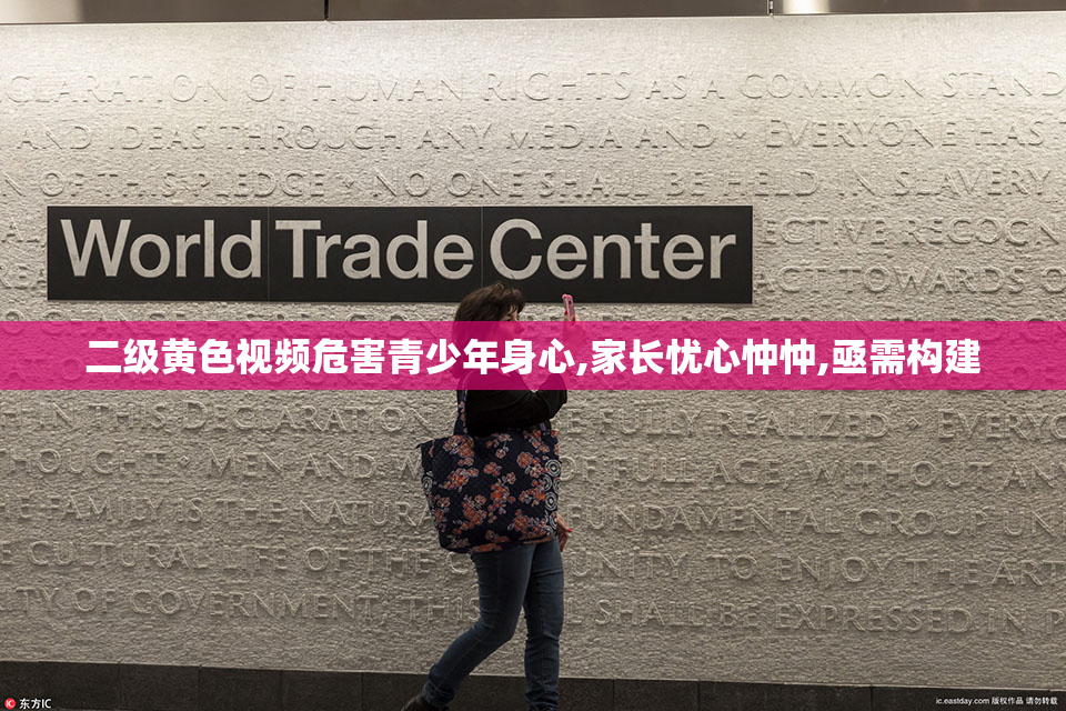 二级黄色视频危害青少年身心,家长忧心忡忡,亟需构建