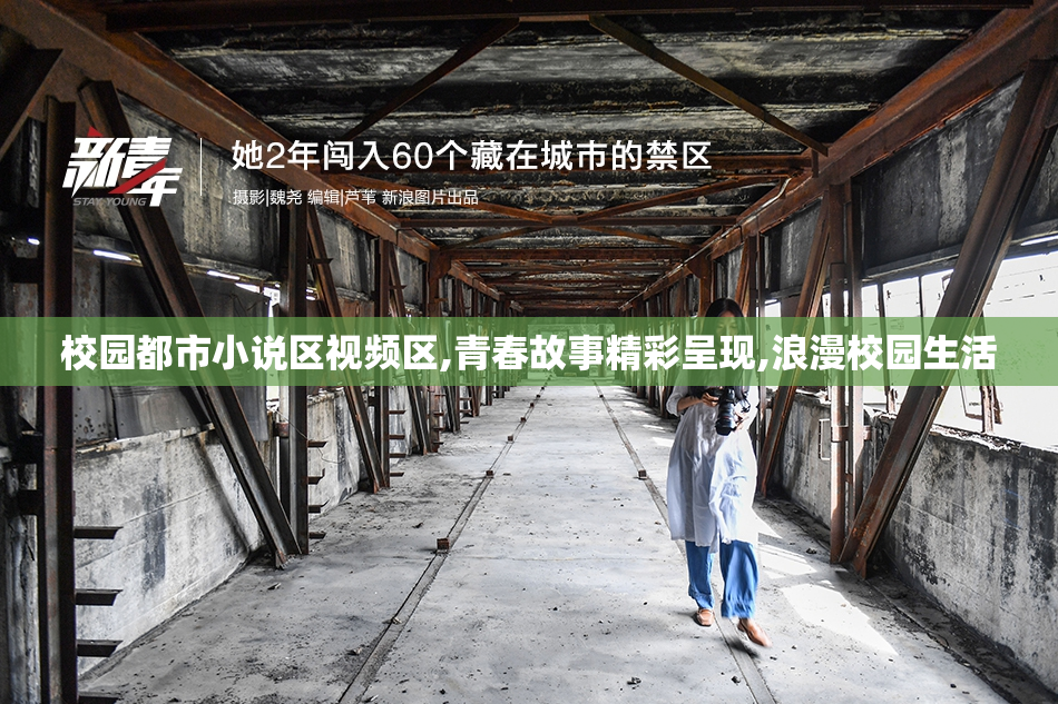 校园都市小说区视频区,青春故事精彩呈现,浪漫校园生活
