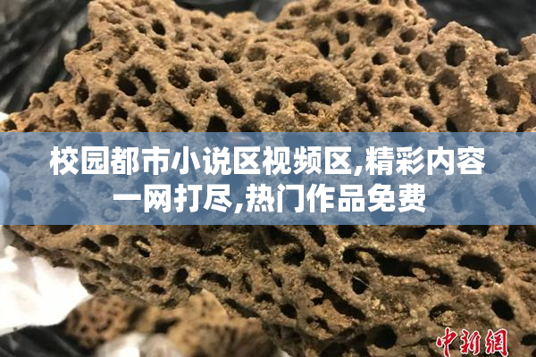 校园都市小说区视频区,精彩内容一网打尽,热门作品免费