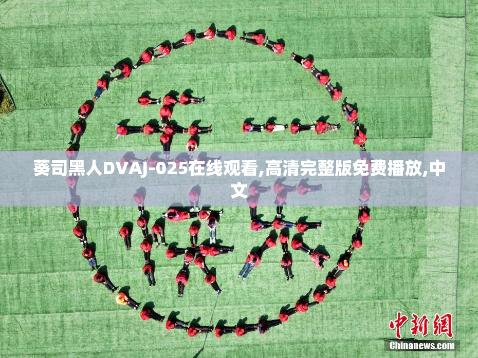 葵司黑人DVAJ-025在线观看,高清完整版免费播放,中文