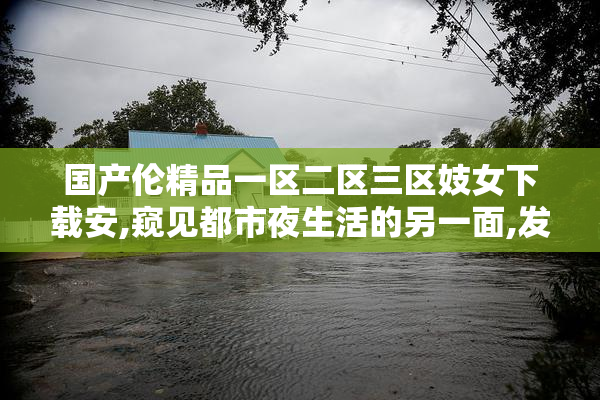 国产伦精品一区二区三区妓女下载安,窥见都市夜生活的另一面,发现