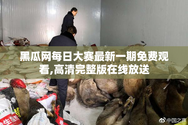 黑瓜网每日大赛最新一期免费观看,高清完整版在线放送