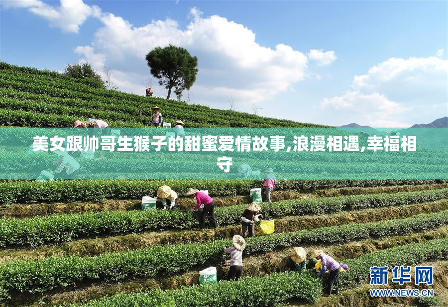 美女跟帅哥生猴子的甜蜜爱情故事,浪漫相遇,幸福相守