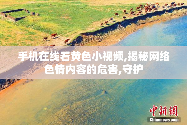 手机在线看黄色小视频,揭秘网络色情内容的危害,守护