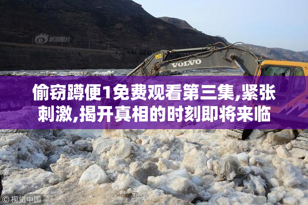 偷窃蹲便1免费观看第三集,紧张刺激,揭开真相的时刻即将来临