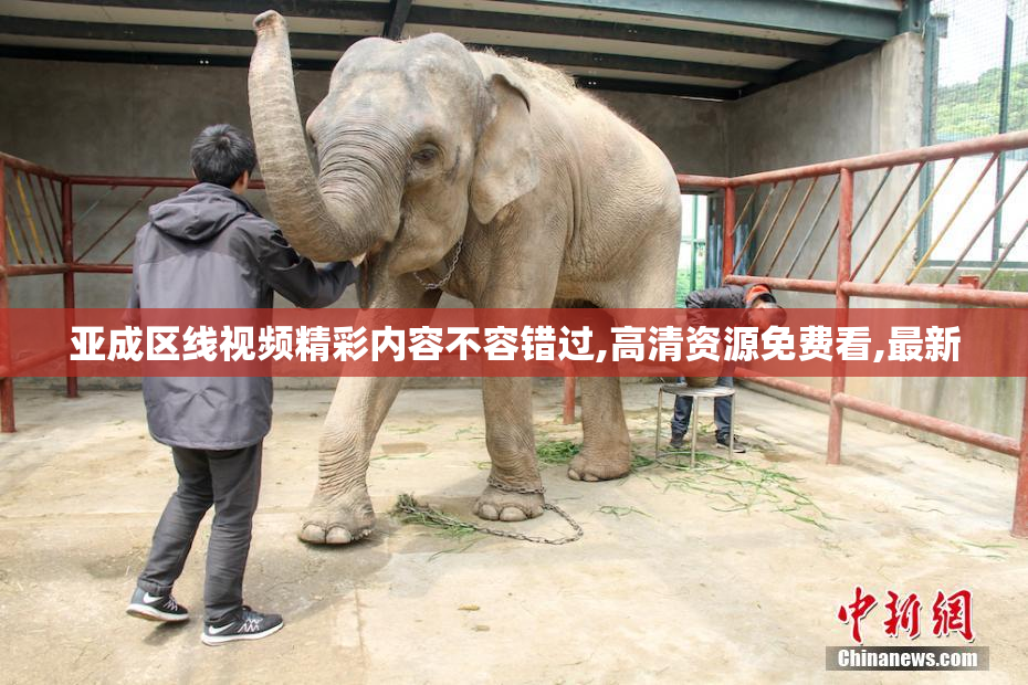 亚成区线视频精彩内容不容错过,高清资源免费看,最新