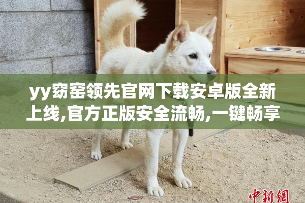 yy窈窑领先官网下载安卓版全新上线,官方正版安全流畅,一键畅享