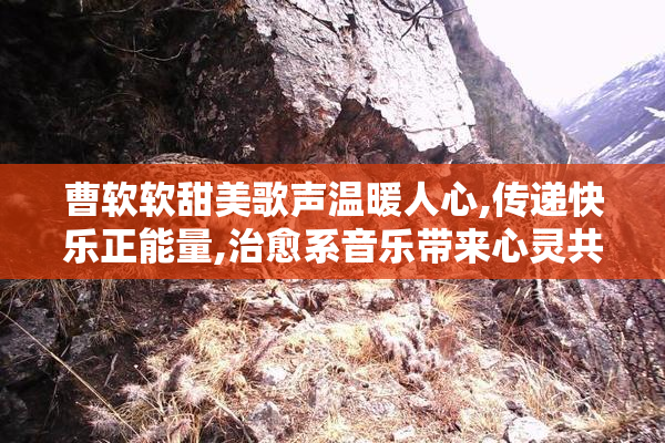 曹软软甜美歌声温暖人心,传递快乐正能量,治愈系音乐带来心灵共鸣