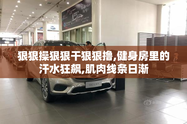 狠狠操狠狠干狠狠撸,健身房里的汗水狂飙,肌肉线条日渐