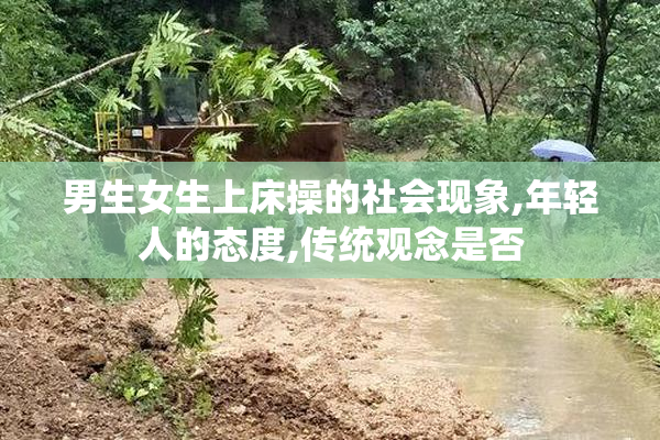 男生女生上床操的社会现象,年轻人的态度,传统观念是否