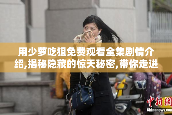 用少萝吃狙免费观看全集剧情介绍,揭秘隐藏的惊天秘密,带你走进