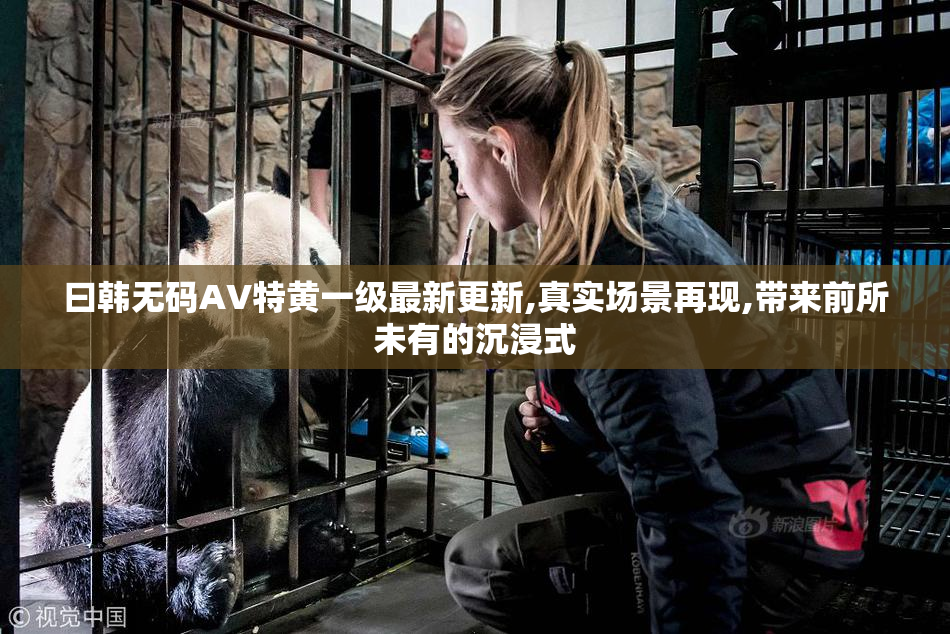 曰韩无码AV特黄一级最新更新,真实场景再现,带来前所未有的沉浸式