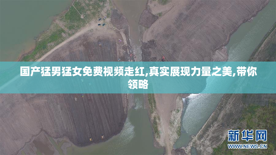 国产猛男猛女免费视频走红,真实展现力量之美,带你领略