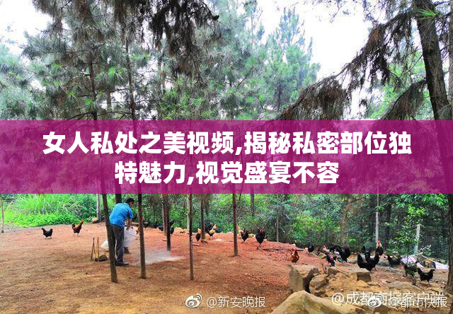 女人私处之美视频,揭秘私密部位独特魅力,视觉盛宴不容