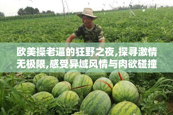 欧美操老逼的狂野之夜,探寻激情无极限,感受异域风情与肉欲碰撞的