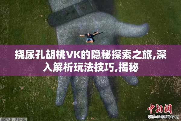 挠尿孔胡桃VK的隐秘探索之旅,深入解析玩法技巧,揭秘